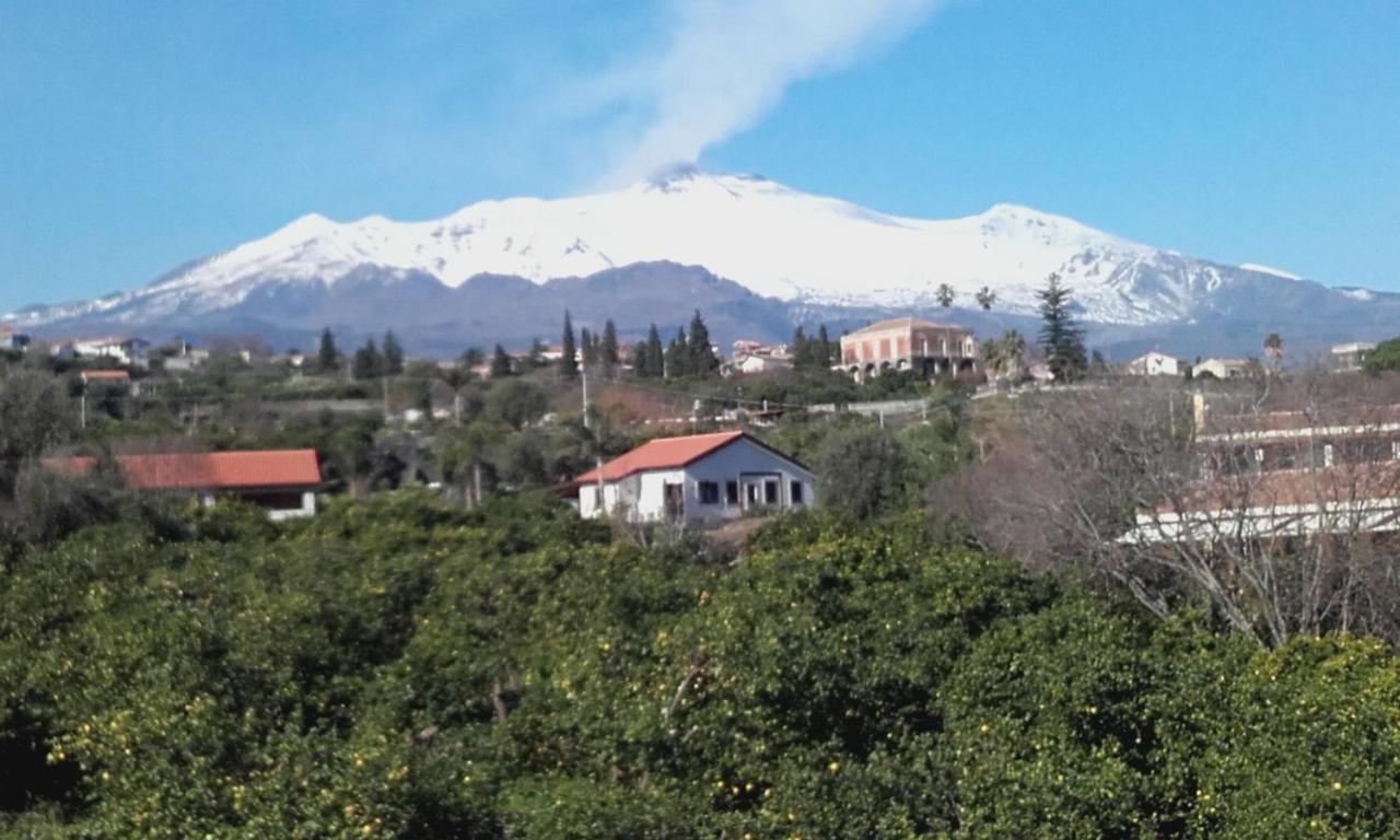 Villa Dei Limoni Etna-Mare 아치레알레 외부 사진